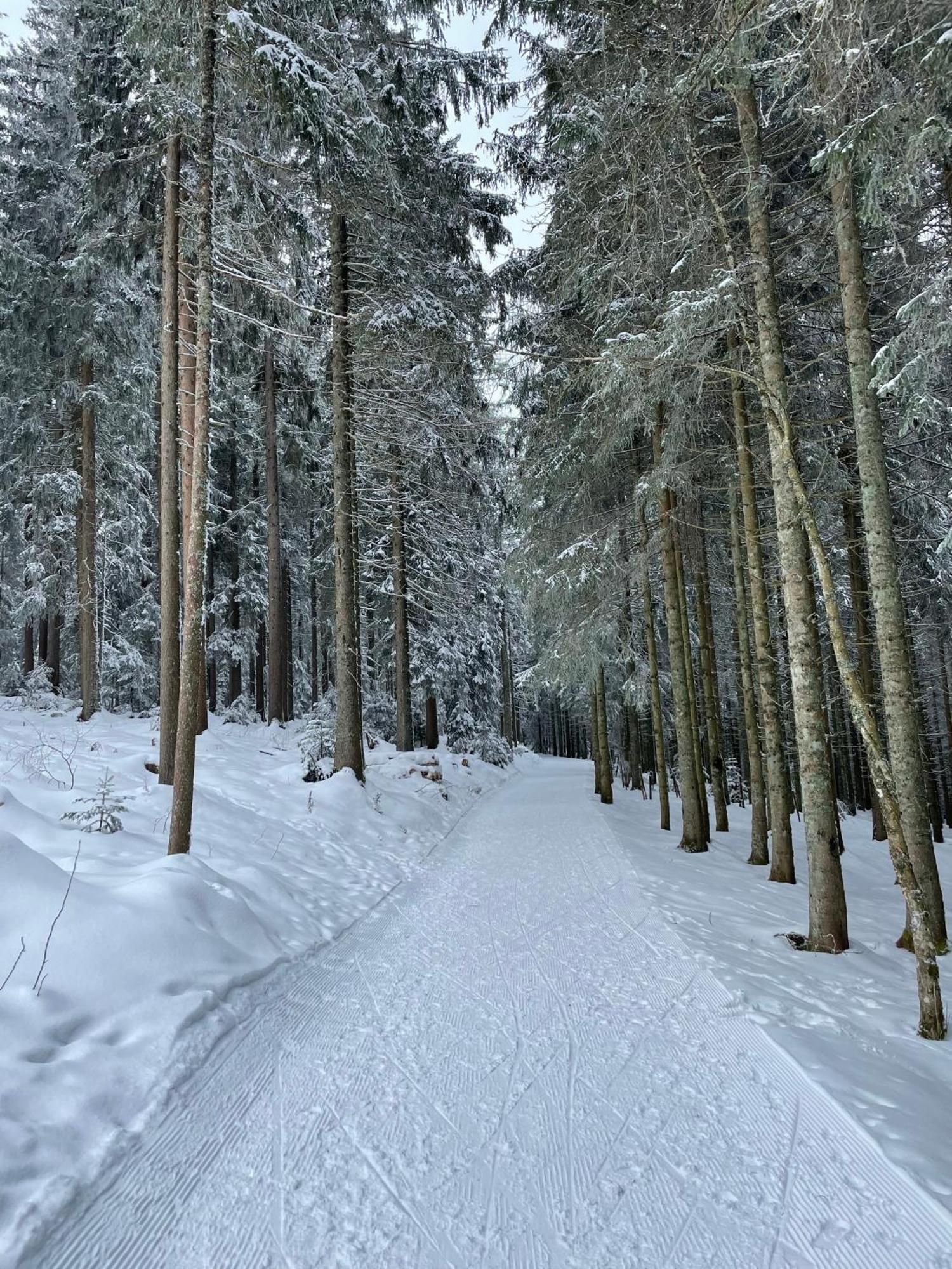2-Zimmer Ferienwohnung "Am Waldrand" Schönwalde Buitenkant foto